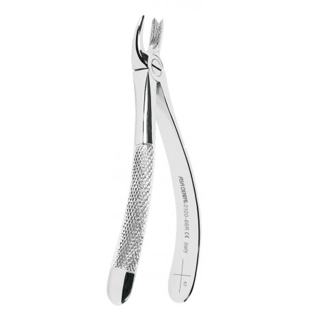 EXTRACTING FORCEPS 0100-66R