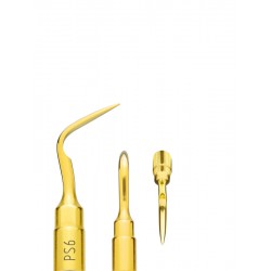 PIEZOSURGERY INSERTO PS6