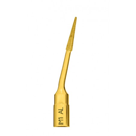 PIEZOSURGERY INSERT