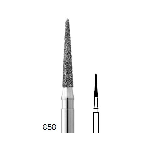 INTENSIV 313 MD2 GAMBO CORTO