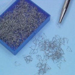 COLOMBELLE PREFORMATE