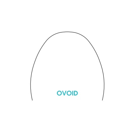 ARCHI BIOLASTIC ARCHI BIOLASTIC