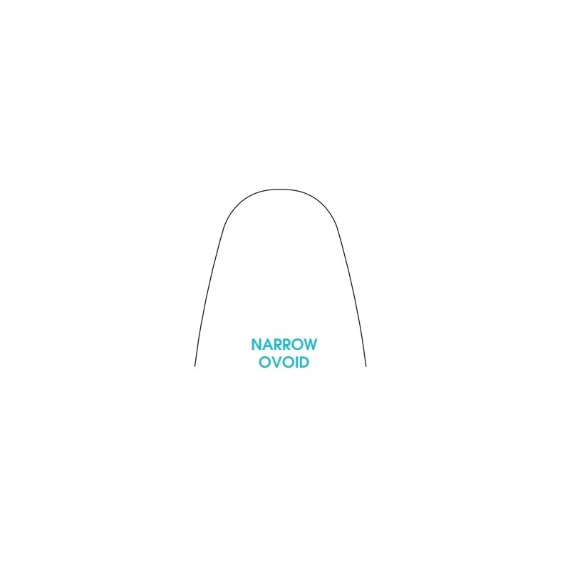 ARCHI BIOLASTIC ARCHI BIOLASTIC