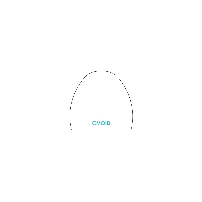 ARCHI BIOLASTIC ARCHI BIOLASTIC