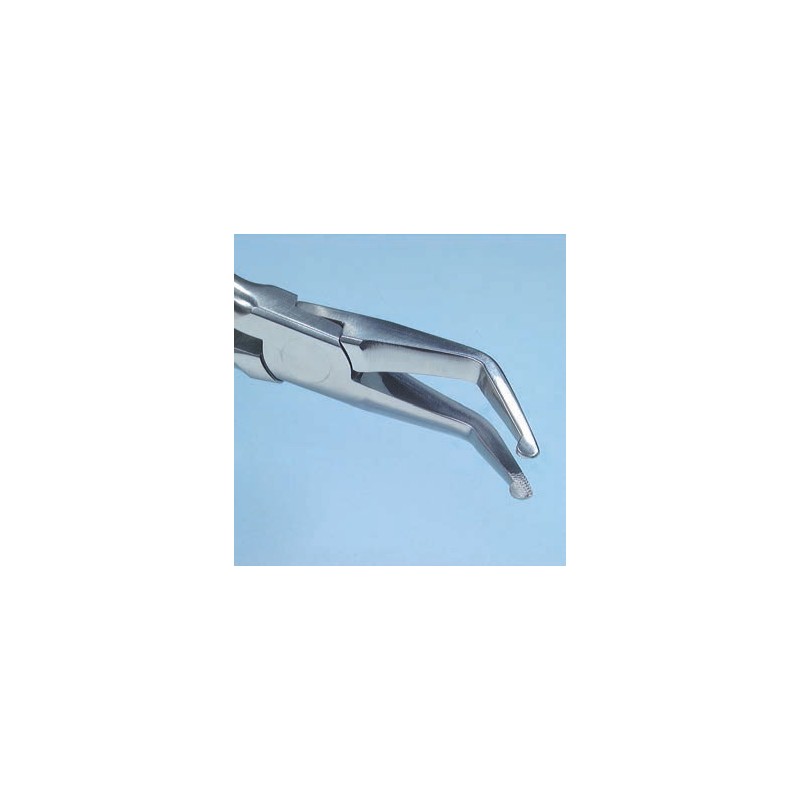 PINZA DI HOW PINZA DI HOW