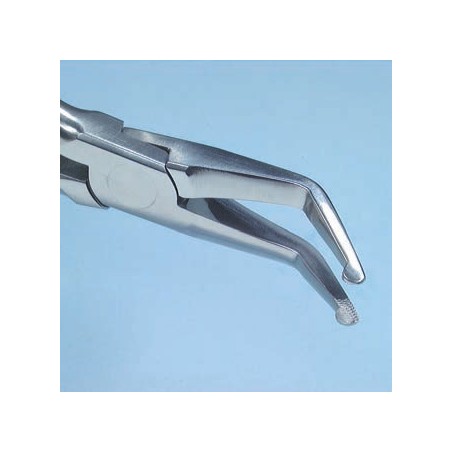 PINZA DI HOW PINZA DI HOW