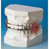 BITE STANDARD BITE STANDARD