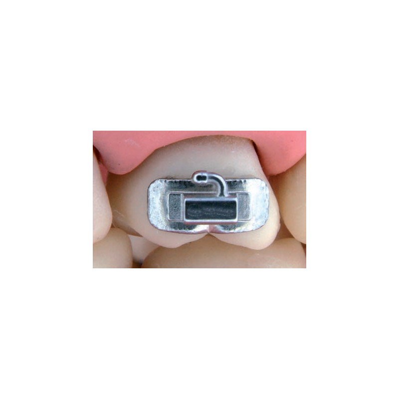 BASI ANATOMICHE D.B.