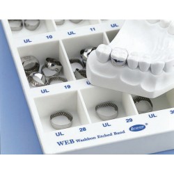 BANDE WEB I MOL Sup sn E8300-23