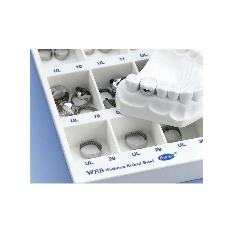 KIT 78 BANDE WEB - INFERIORI SINISTRE