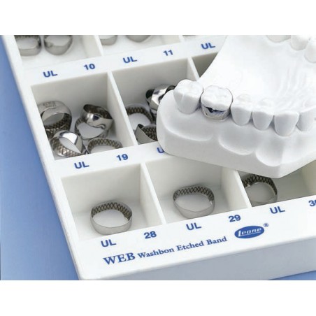 KIT 78 BANDE WEB - INFERIORI SINISTRE