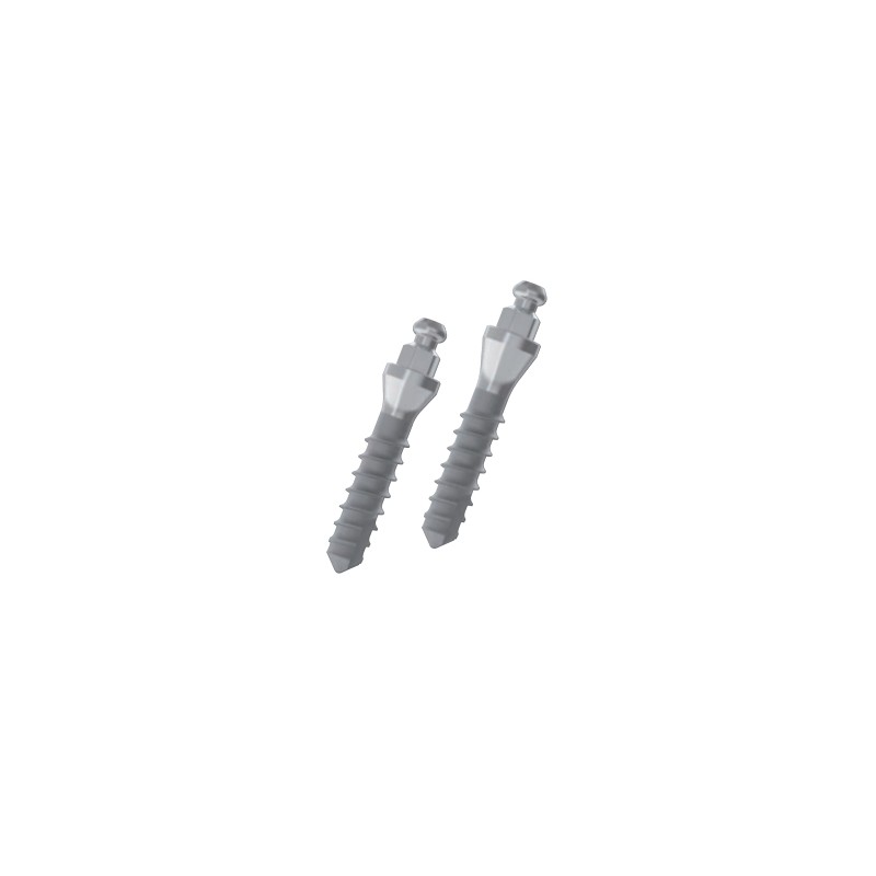 MONOIMPIANTO OVERDENTURE LEONE