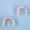 ARCHES NiTi THERMO