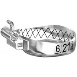 BANDE WEB CON TUBO PRIMO MOLARE SUPERIORE SINISTRO UL