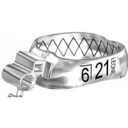 BANDE WEB CON TUBO PRIMO MOLARE INFERIORI DESTRE LR