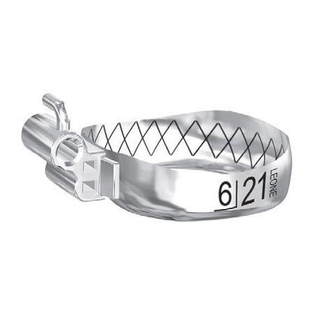 BANDE WEB CON TUBO PRIMO MOLARE SUPERIORI SINISTRE UL BANDE WEB CON TUBO PRIMO MOLARE SUPERIORI SINISTRE UL