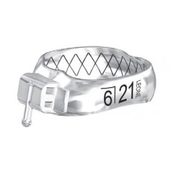 BANDE WEB CON TUBO PRIMO MOLARE INFERIORI SINISTRE LL