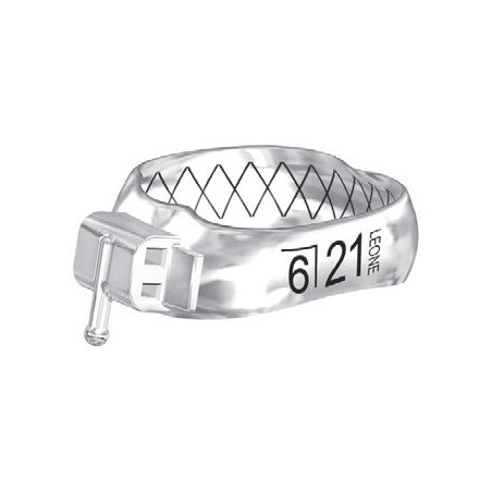 BANDE WEB CON TUBO PRIMO MOLARE INFERIORI SINISTRE LL