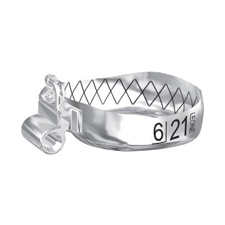 BANDE WEB CON TUBO PRIMO MOLARE SUPERIORI DESTRE UR BANDE WEB CON TUBO PRIMO MOLARE SUPERIORI DESTRE UR