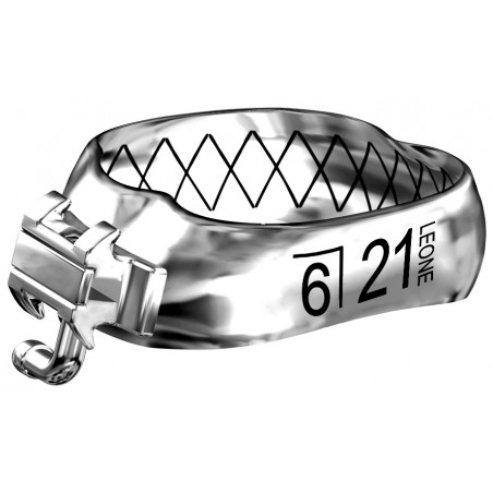 BANDE WEB CON TUBO PRIMO MOLARE INFERIORI DESTRE LR