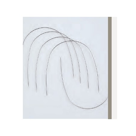 ARCHI ORTHONOL ARCHI ORTHONOL