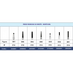 50 FRESE DIAMANTATE MONOPAZIENTE