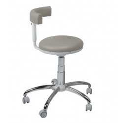 SEGGIOLINO ASSIST SWIDENT