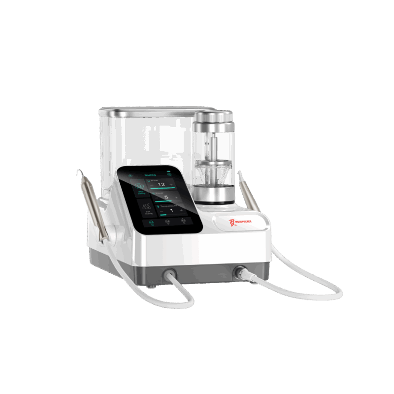 PTE SCALER + AIRPOLISH