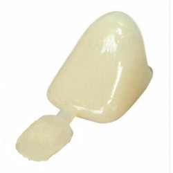 POLYCARBONAT-KRONEN - 5ER-PACK