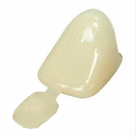 POLYCARBONAT-KRONEN - 5ER-PACK