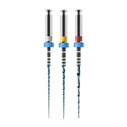 SEQUENZA DI BASE VDW ROTATE ASSORTITI