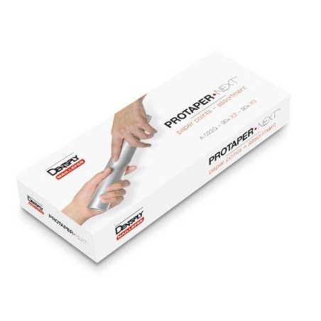 PUNTE CARTA PROTAPER NEXT X3