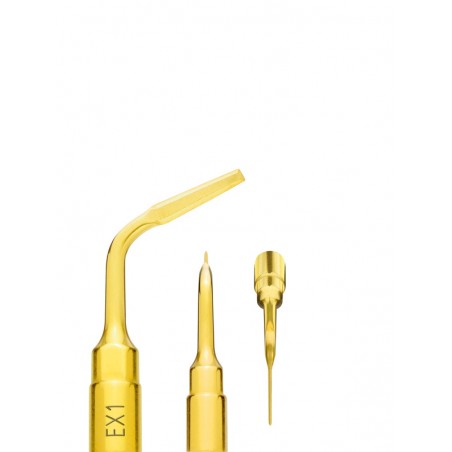 PIEZOCHIRURGISCHER EINSATZ EX1