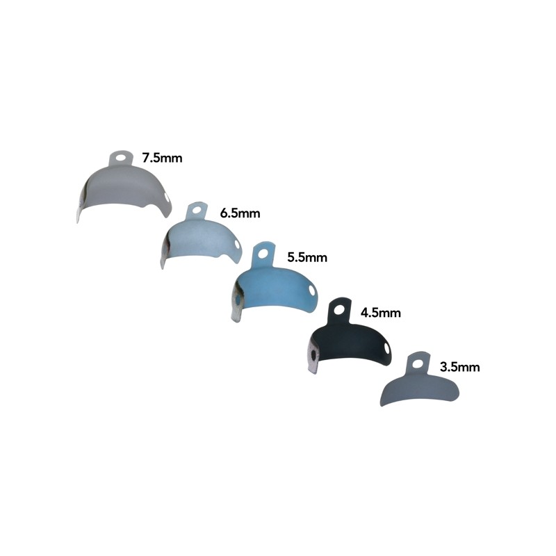 PALODENT V3 EZ COAT MATRIZEN