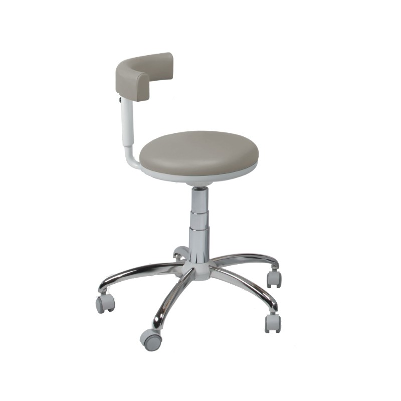SEGGIOLINO ASSIST SWIDENT