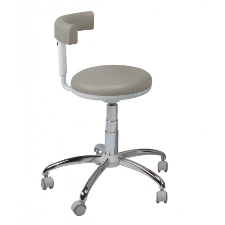 SEGGIOLINO ASSIST SWIDENT