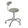SEGGIOLINO ASSIST SWIDENT