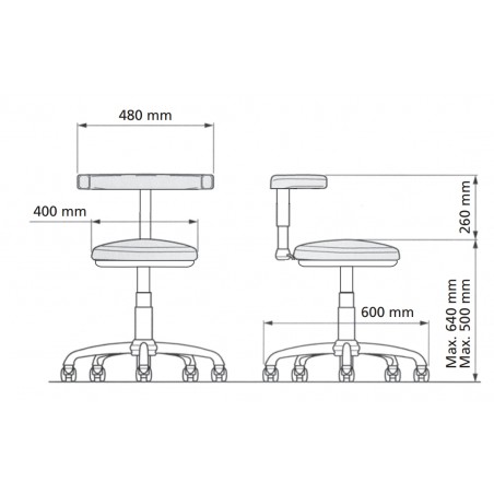 SEGGIOLINO ASSIST SWIDENT