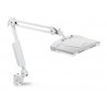 SOLAR LED QUADRATISCH