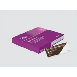 PALA CRE-ACTIVE GUM