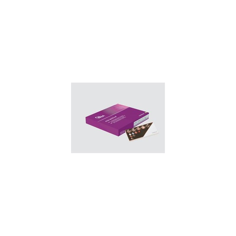 PALA CRE-ACTIVE GUM