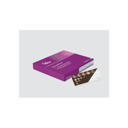 PALA CRE-ACTIVE GUM