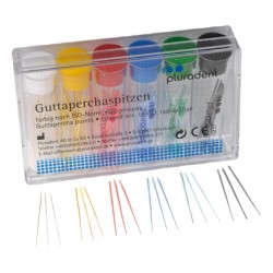 GUTTAPERCHA ORBIS PLULINE